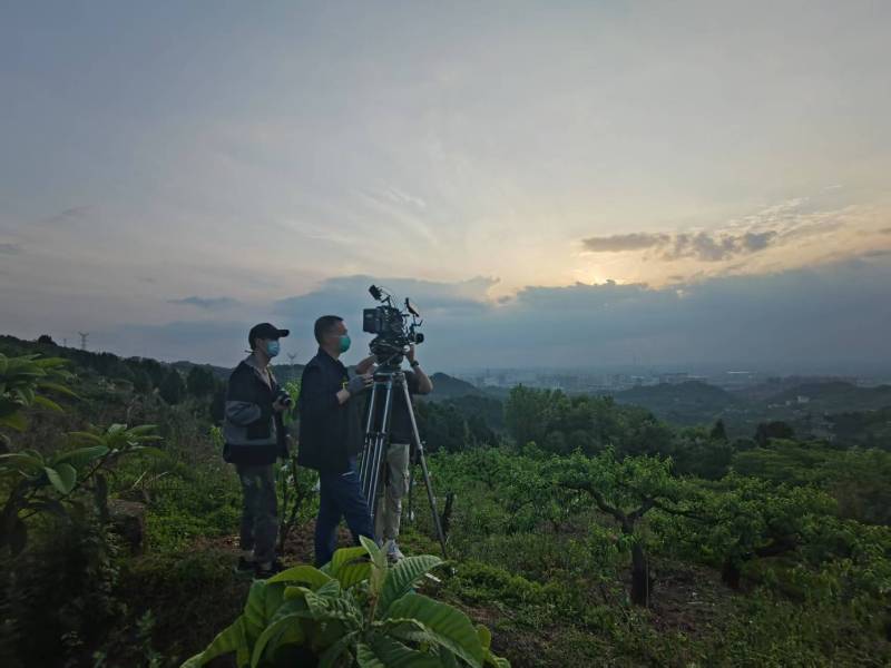 创意破圈！桂阳县电商产品宣传视频用故事化叙事引爆流量