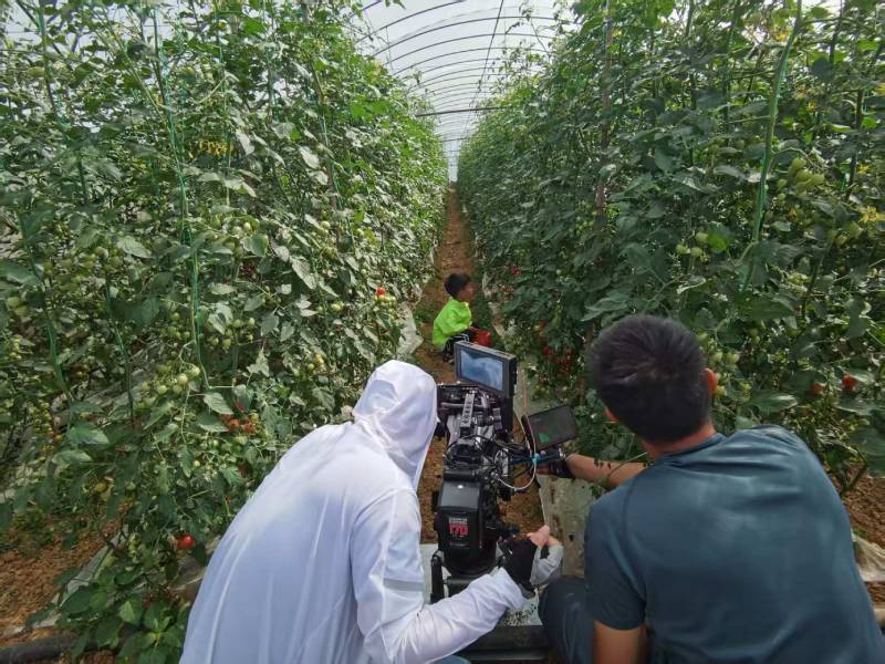 桂阳县产品宣传视频拍摄公司进阶指南，助力品牌抢占传播高地